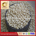 Hot Sale Blanched Peanut Kernel New Crop